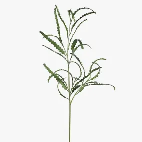Artificial 12 x Banksia Leaf Spray