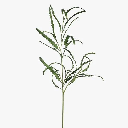 Artificial 12 x Banksia Leaf Spray