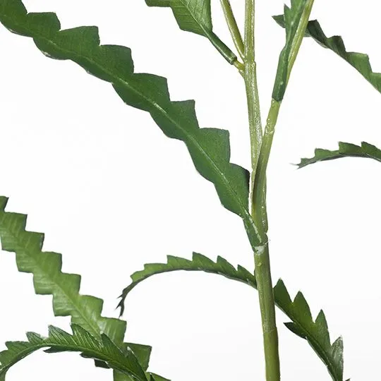 Artificial 12 x Banksia Leaf Spray