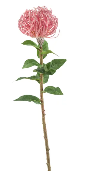 Blume Pin Flower Stem 85cm