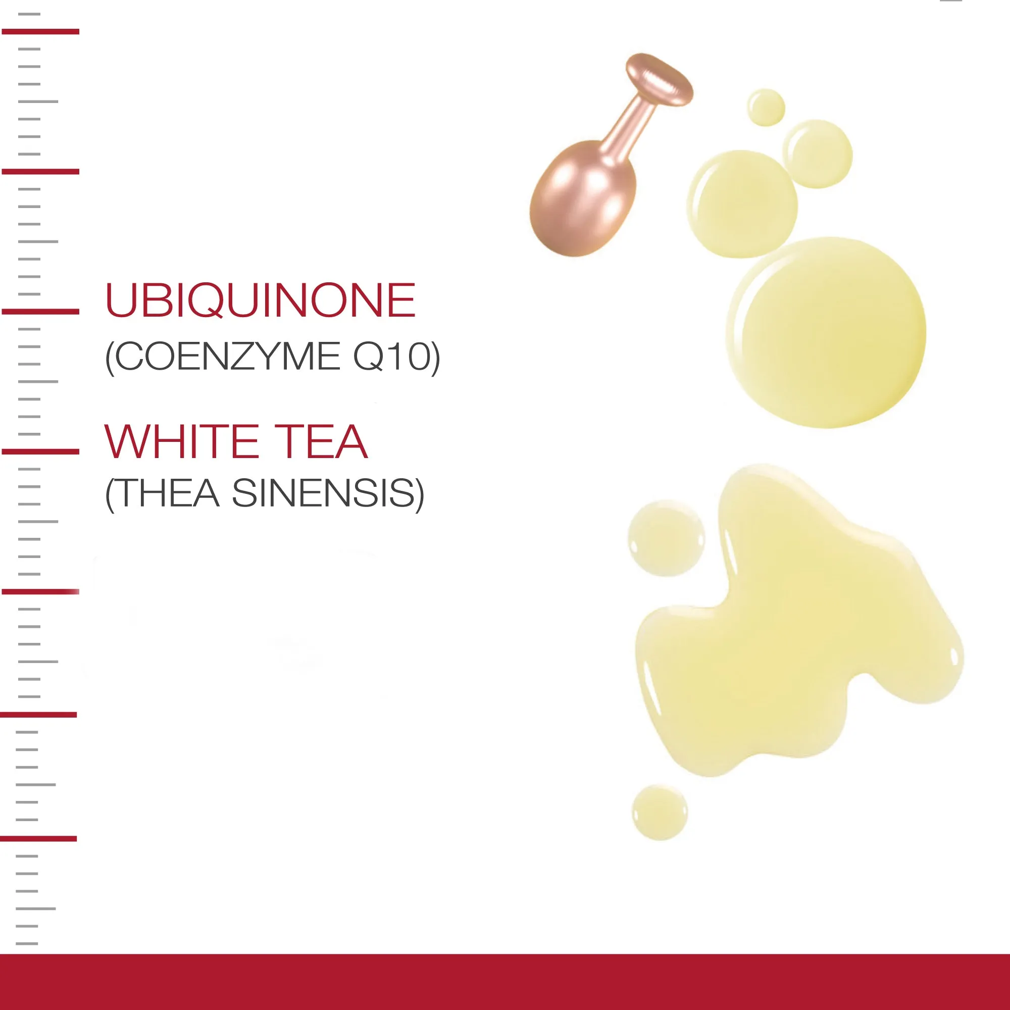 Dermastir Twister Refill Coenzyme Q10