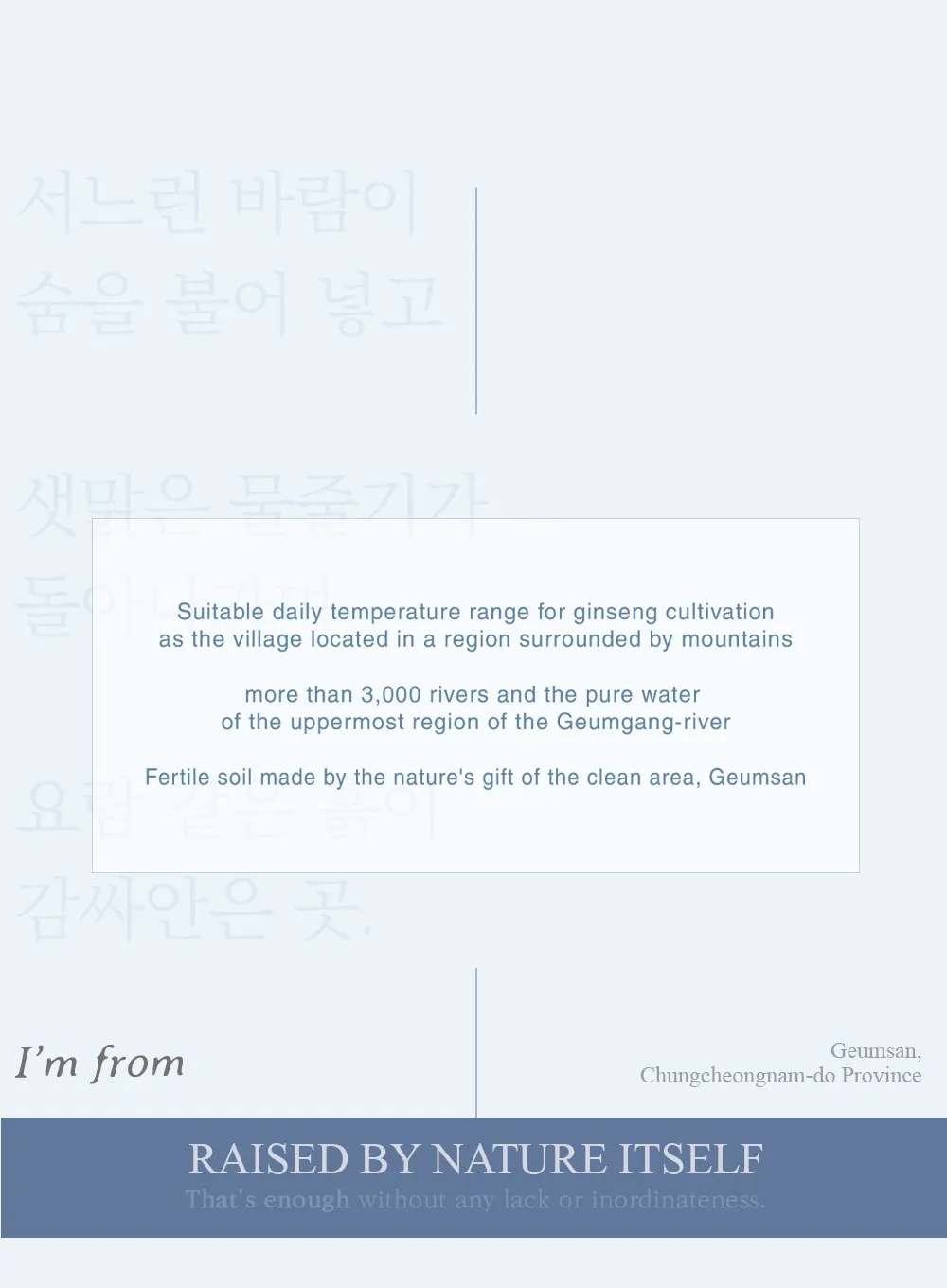 Ginseng Serum (30ml)