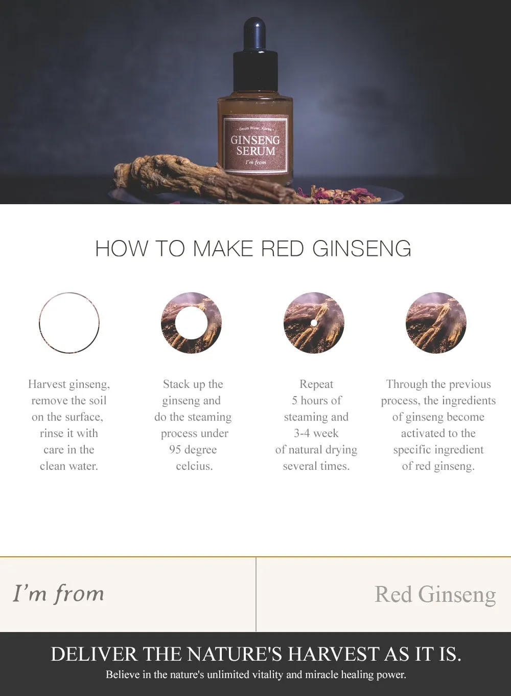 Ginseng Serum (30ml)