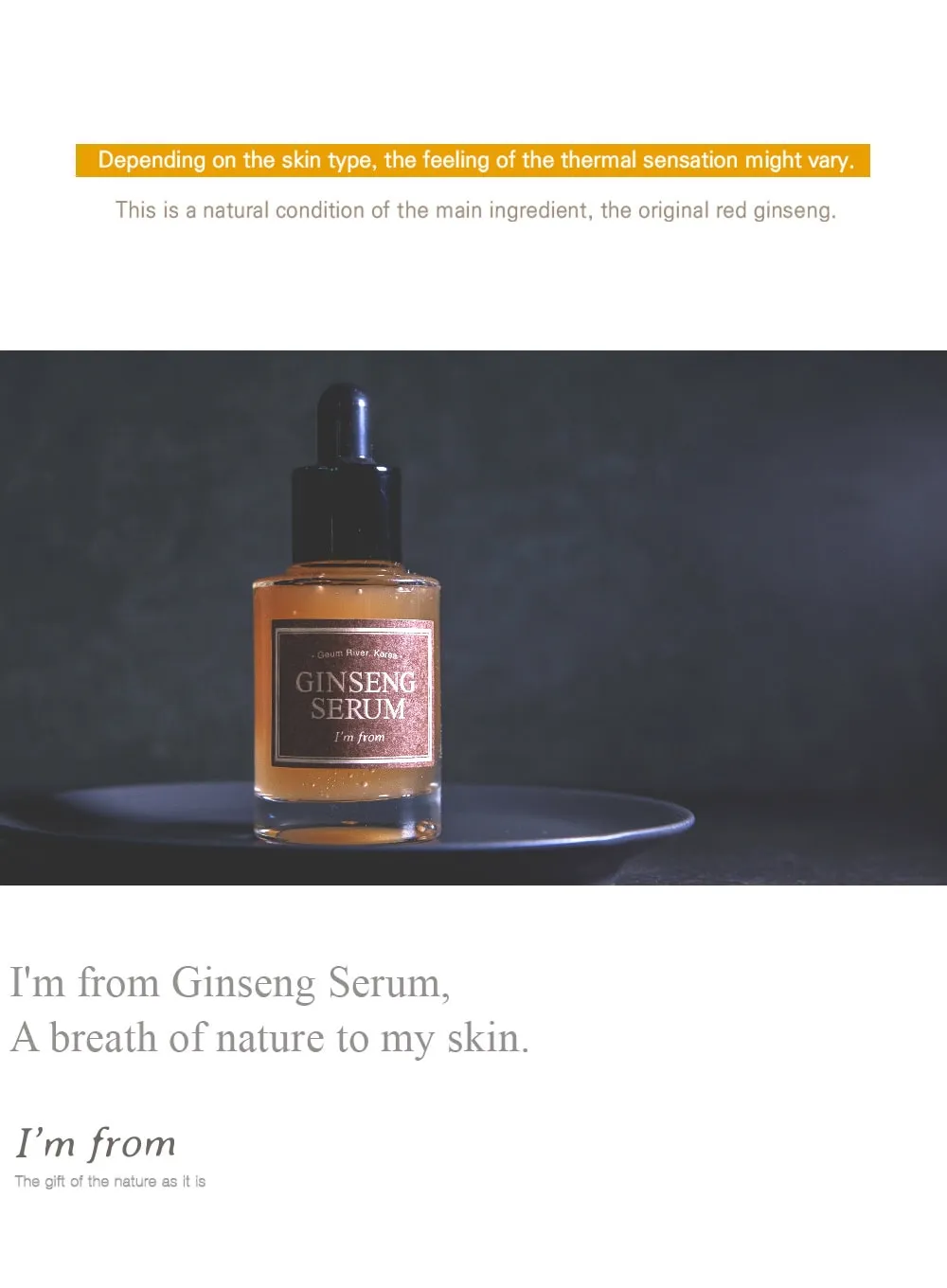 Ginseng Serum (30ml)