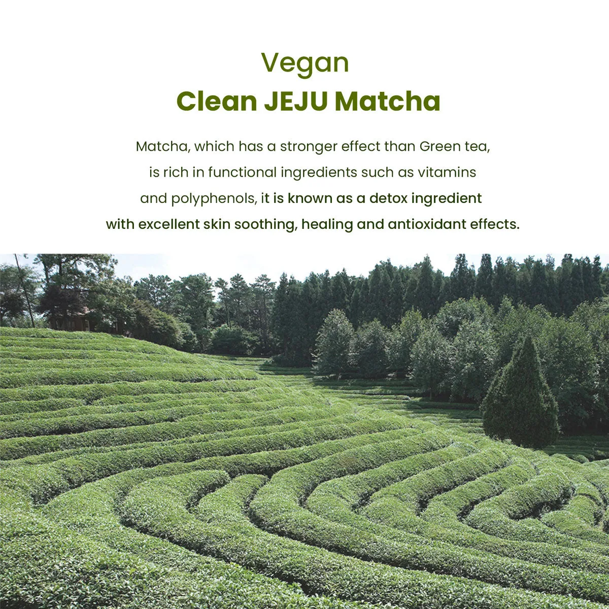 Matcha Biome Amino Acne Cleansing Foam 150ml/5.07fl.oz